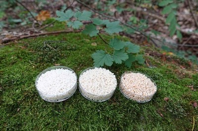 NOVUM項(xiàng)目研發(fā)纖維素生物3D打印材料