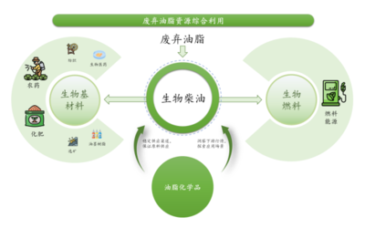 專注廢棄油脂資源綜合利用 豐倍生物IPO獲問(wèn)詢